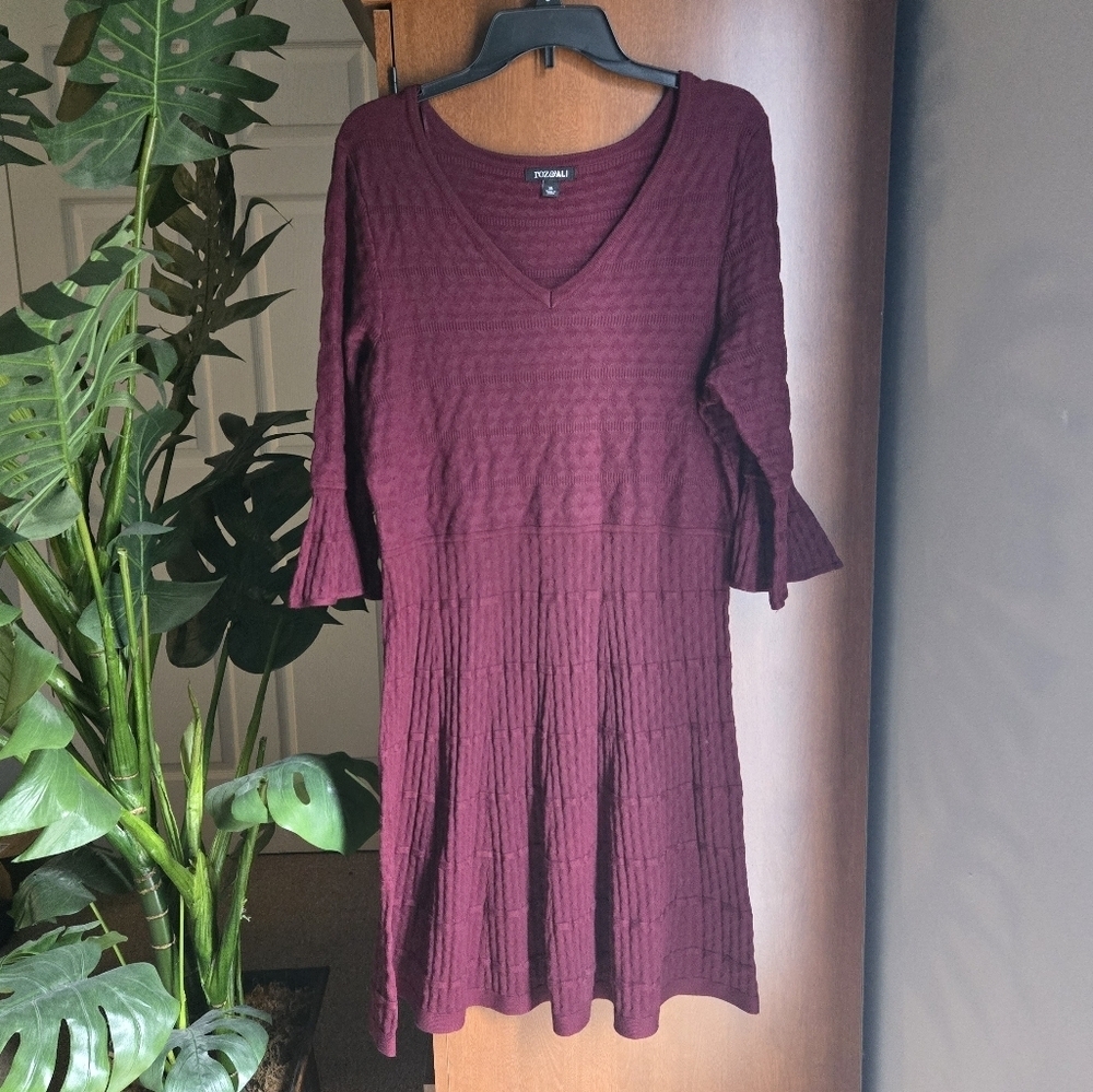 Roz & Ali Long Sleeve Textured Burgundy Dress XL